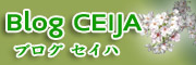 blog clase de japones